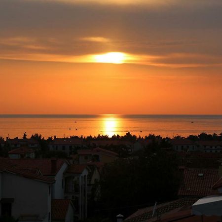 Apartment Panorama Poreč Eksteriør bilde